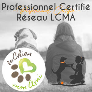 cameha certifiée le chien mon ami