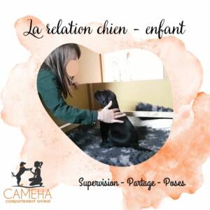 La relation chien-enfant
